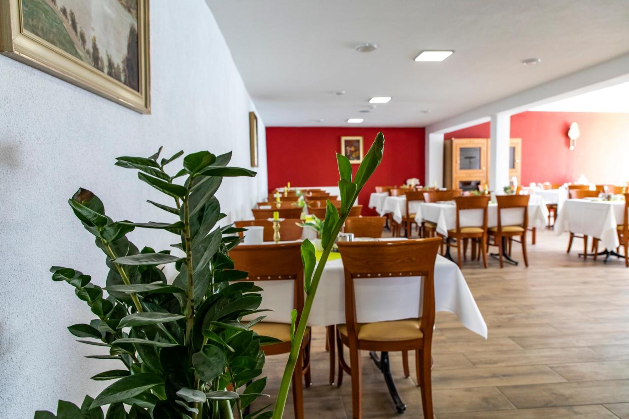 Hotel Jaegerhaus In Singen Am Hohentwiel Экстерьер фото
